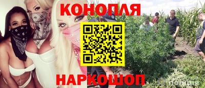 мет Гусев